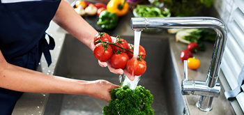 Counsultancy-Food Safety and Hygiene